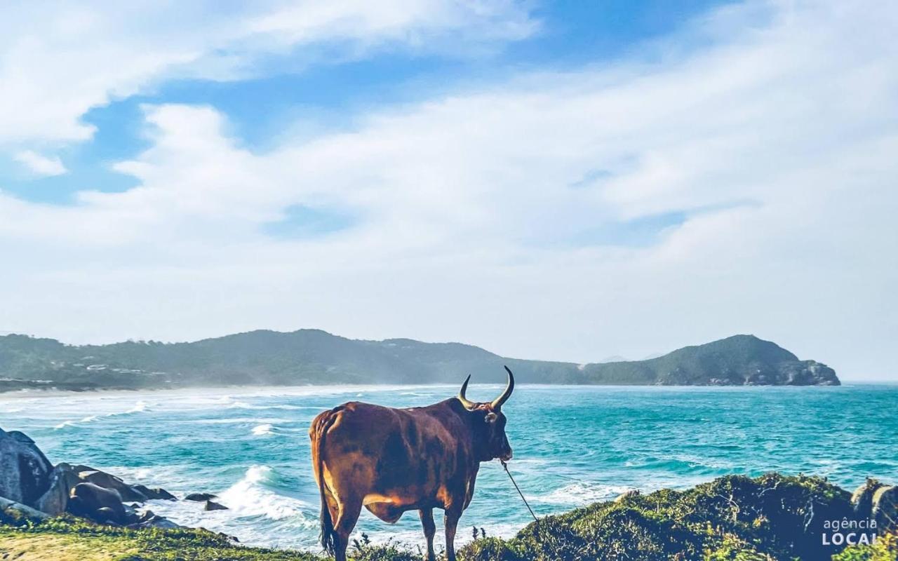 Casas A 200 Metros Do Mar . Villa Praia do Rosa Dış mekan fotoğraf